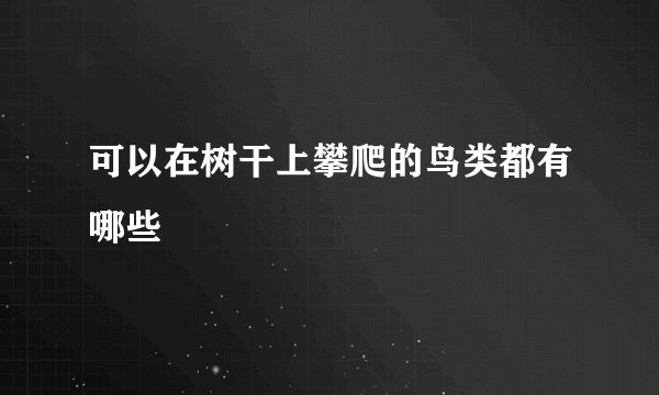 可以在树干上攀爬的鸟类都有哪些