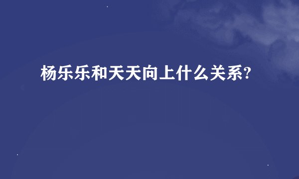 杨乐乐和天天向上什么关系?