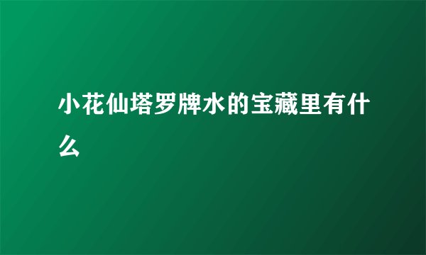 小花仙塔罗牌水的宝藏里有什么