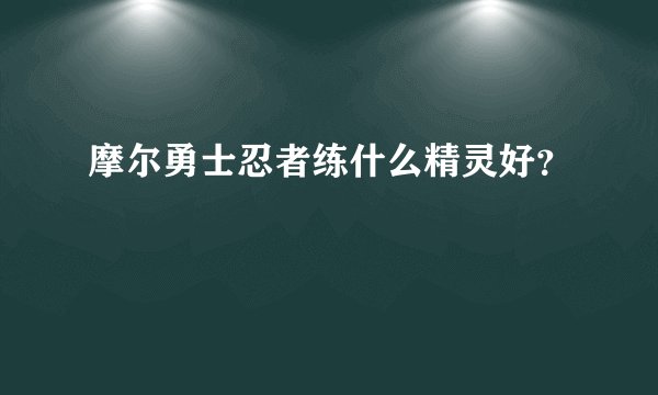 摩尔勇士忍者练什么精灵好?