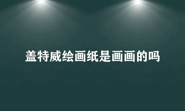 盖特威绘画纸是画画的吗