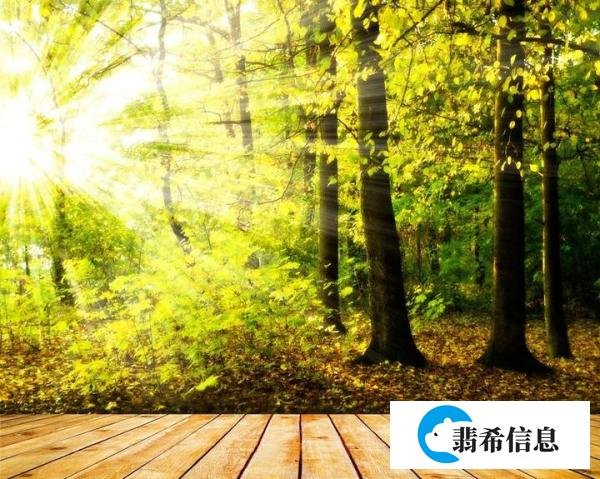 让灵魂在阳光下起舞