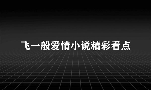 飞一般爱情小说精彩看点