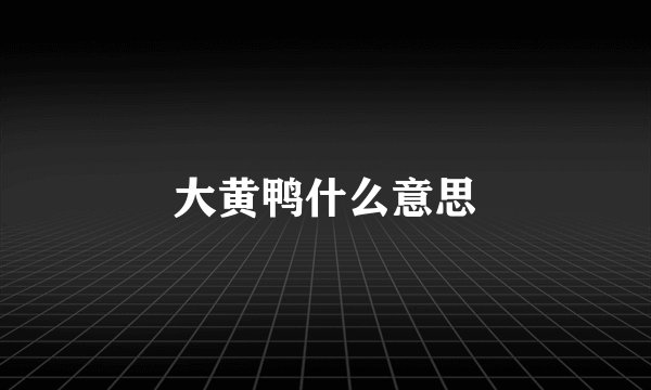 大黄鸭什么意思