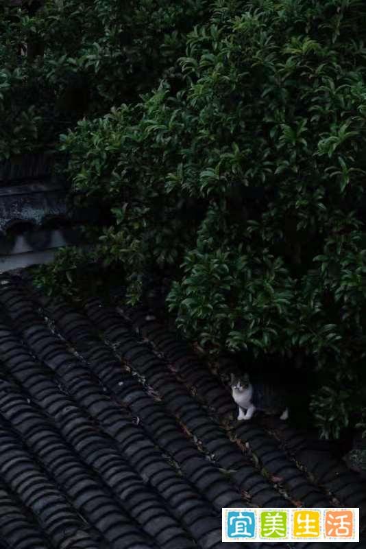 15张普通人拍出来的好照片:最后一张能拍到,运气实在是太好了