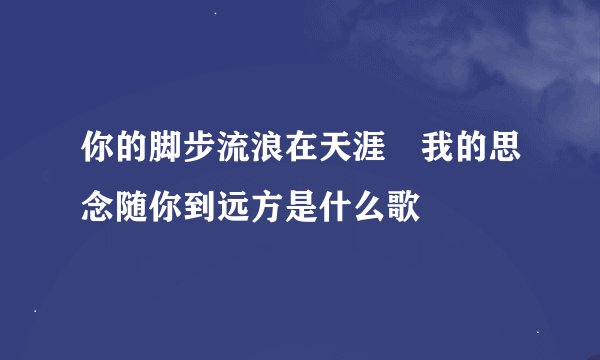 你的脚步流浪在天涯 我的思念随你到远方是什么歌