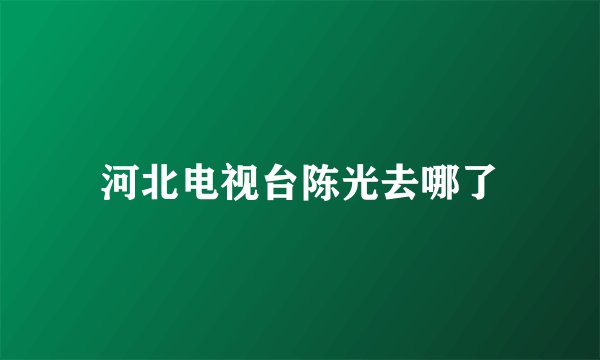 河北电视台陈光去哪了
