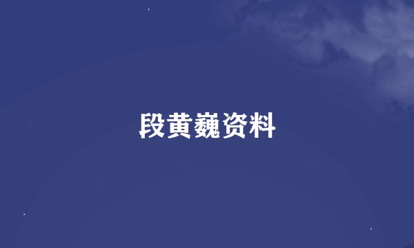 段黄巍资料