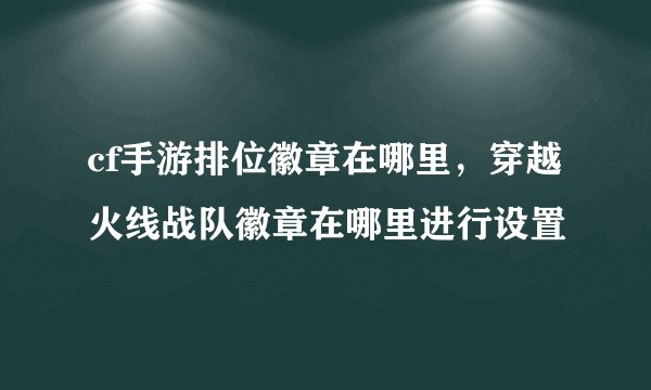 cf手游排位徽章在哪里,穿越火线战队徽章在哪里进行设置