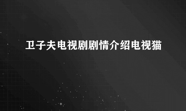 卫子夫电视剧剧情介绍电视猫