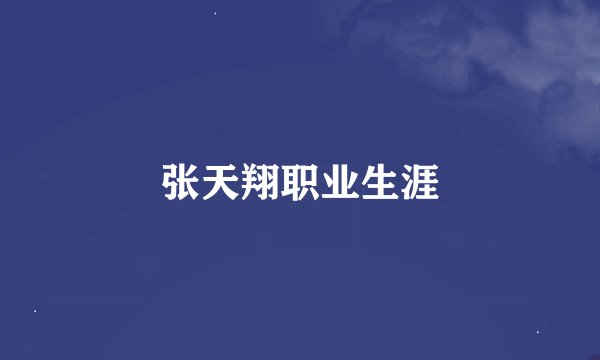 张天翔职业生涯