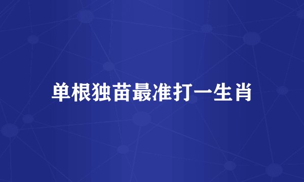 单根独苗最准打一生肖