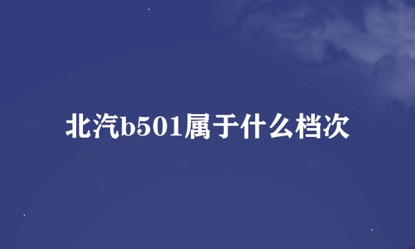北汽b501属于什么档次