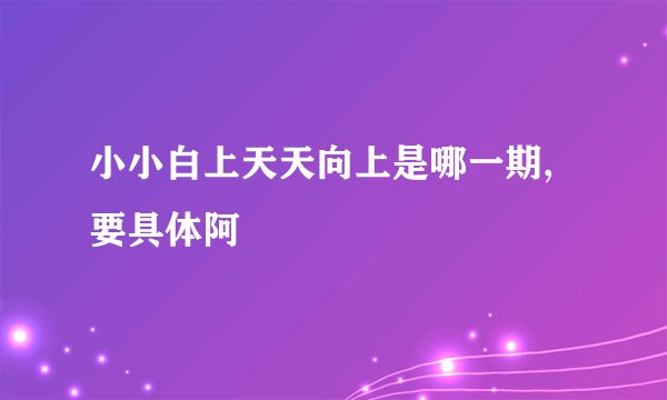 小小白上天天向上是哪一期,要具体阿