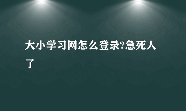 大小学习网怎么登录?急死人了