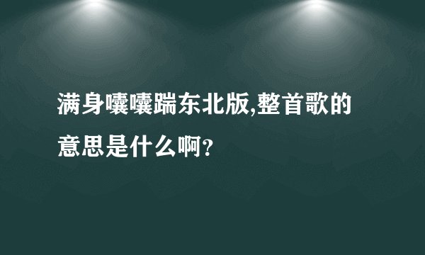满身囔囔踹东北版,整首歌的意思是什么啊？