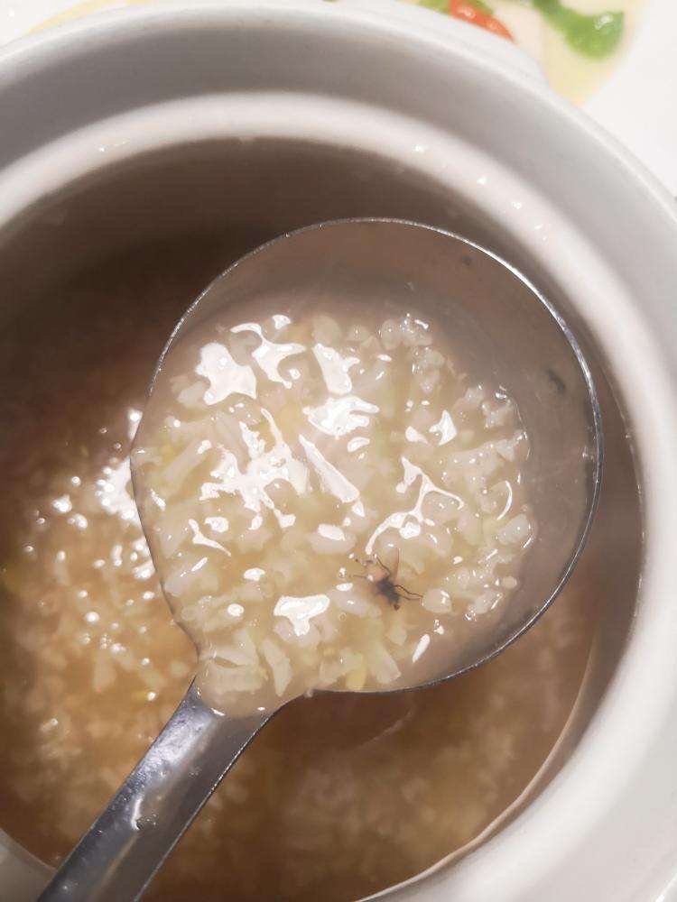 天津一男子自带苍蝇去喝粥,碰瓷索赔3000元,这种行为有多恶劣?