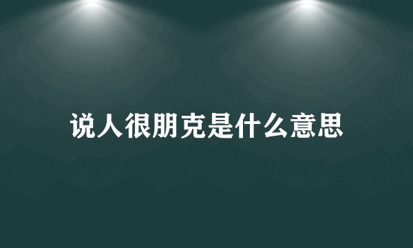 说人很朋克是什么意思