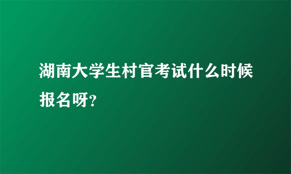 湖南大学生村官考试什么时候报名呀?