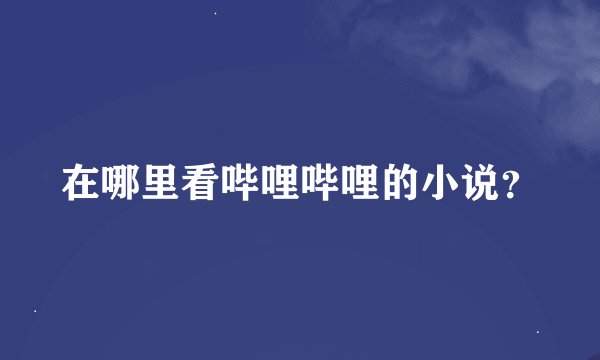 在哪里看哔哩哔哩的小说？