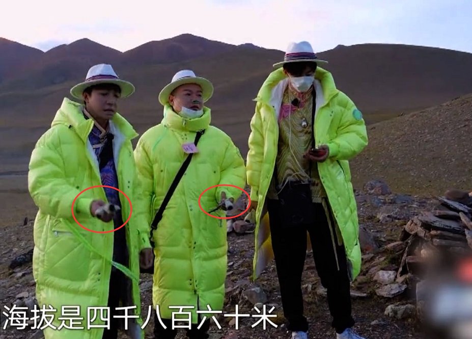 刘宇宁背锅又道歉，《极限挑战》节目组为何不发声？