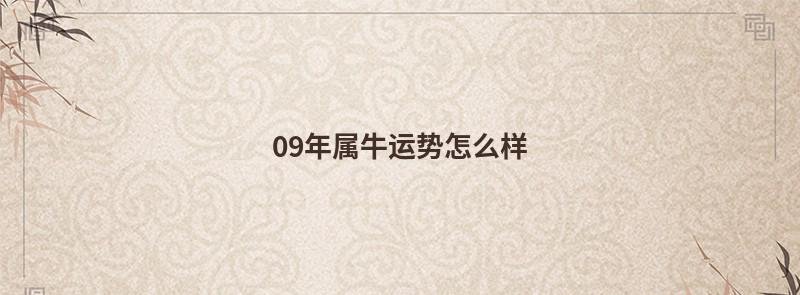 09年属牛运势怎么样