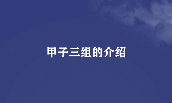 甲子三组的介绍