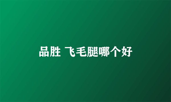 品胜 飞毛腿哪个好