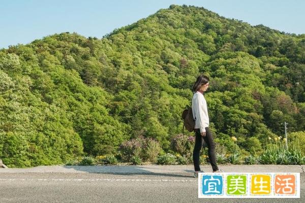 杭州私人导游一天费用标准？