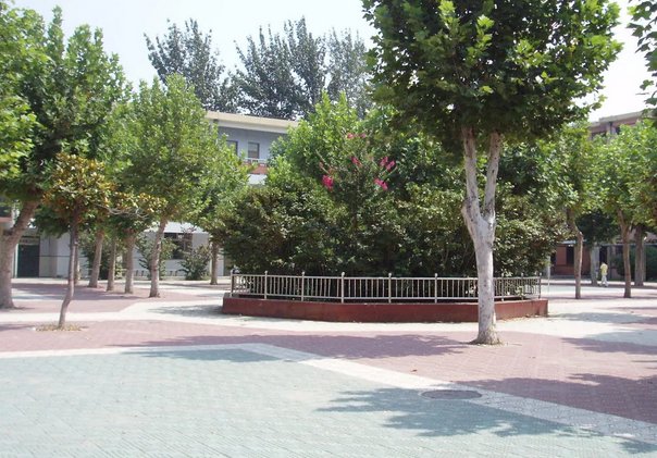 中原油田第一中学怎么样？
