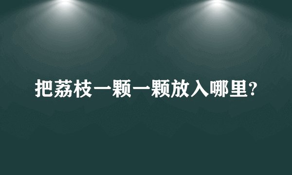 把荔枝一颗一颗放入哪里?