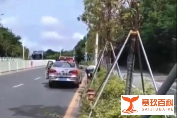 尴尬,女子科目三考试把安全员给整吐了,原因无奈