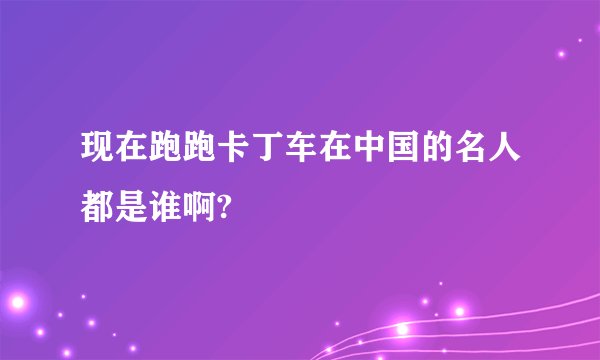 现在跑跑卡丁车在中国的名人都是谁啊?