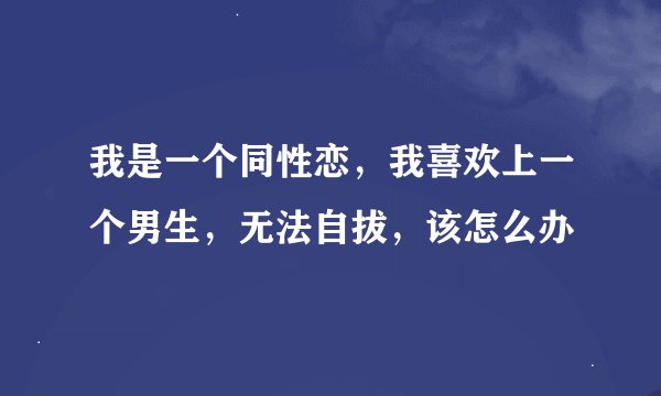 我是一个同性恋，我喜欢上一个男生，无法自拔，该怎么办
