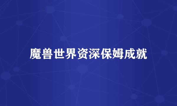 魔兽世界资深保姆成就