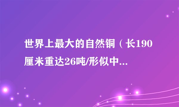 世界上最大的自然铜（长190厘米重达26吨/形似中国地图）