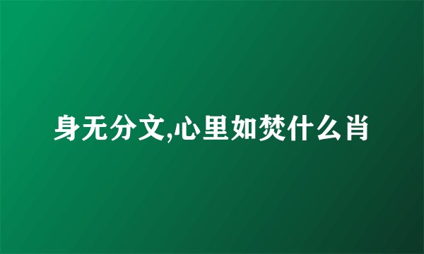 身无分文,心里如焚什么肖