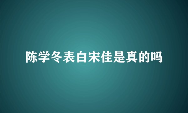 陈学冬表白宋佳是真的吗