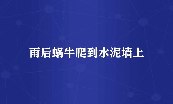 雨后蜗牛爬到水泥墙上