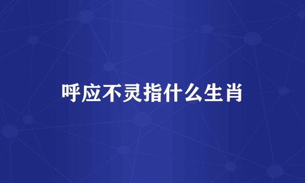 呼应不灵指什么生肖