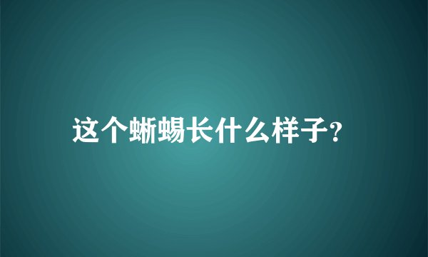 这个蜥蜴长什么样子？