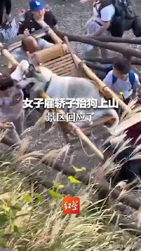 江西女子雇两名轿夫抬哈士奇,这是对轿夫的不尊重吗?