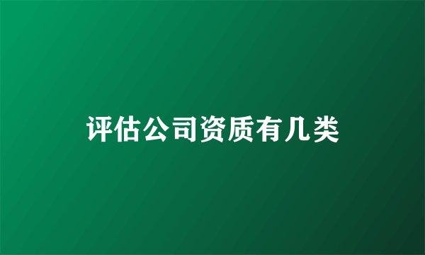 评估公司资质有几类