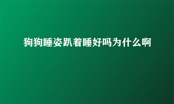 狗狗睡姿趴着睡好吗为什么啊