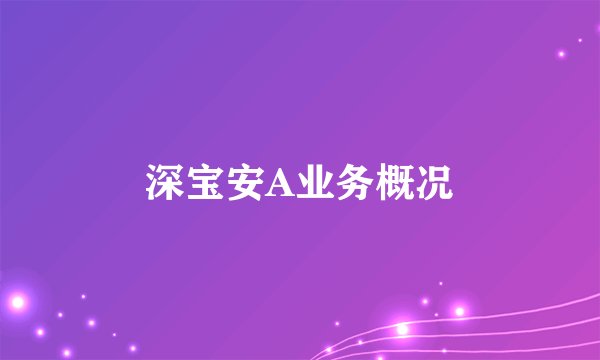 深宝安A业务概况