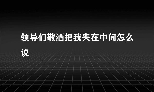 领导们敬酒把我夹在中间怎么说