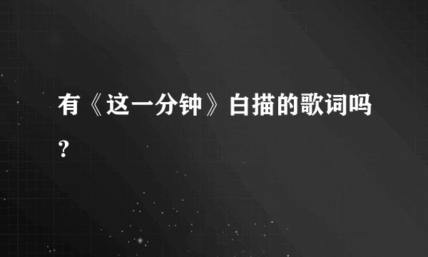 有《这一分钟》白描的歌词吗？