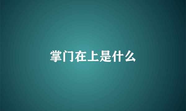 掌门在上是什么