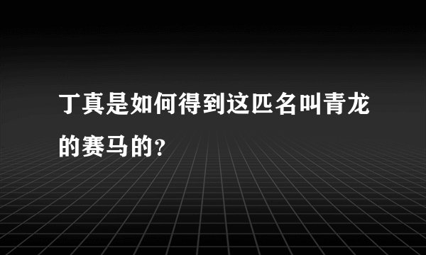 丁真是如何得到这匹名叫青龙的赛马的？