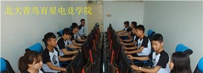 中国电竞学校有哪些？